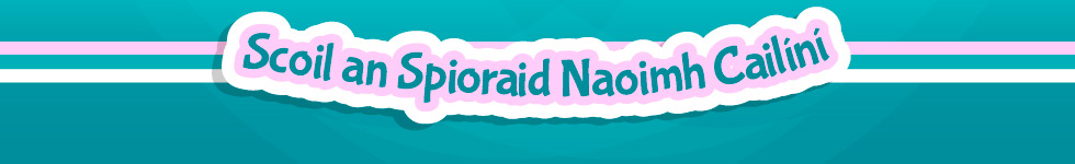 Bishopstown Girls National School, Bishopstown, Cork